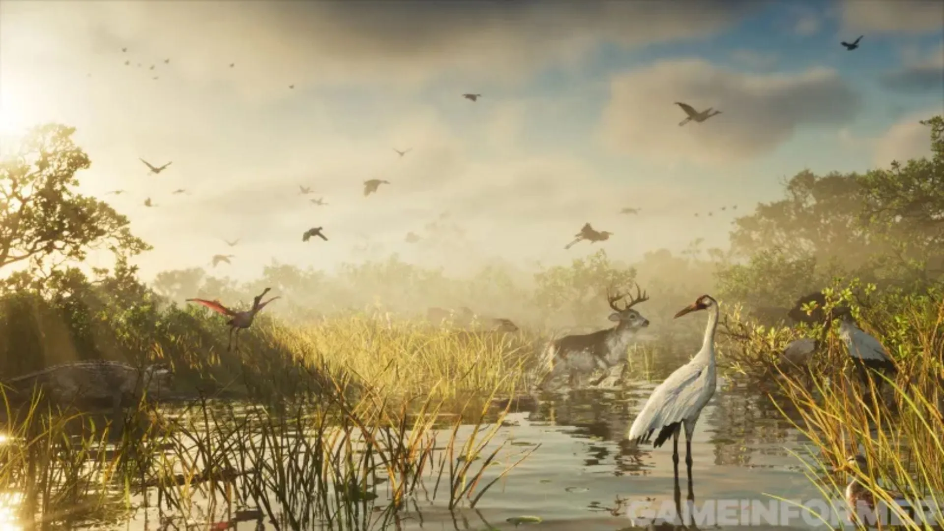 A wetland at sunrise with an alligator in the grass, a roseate spoonbill, a deer crossing the water, a white crane and flocks of birds in the sky